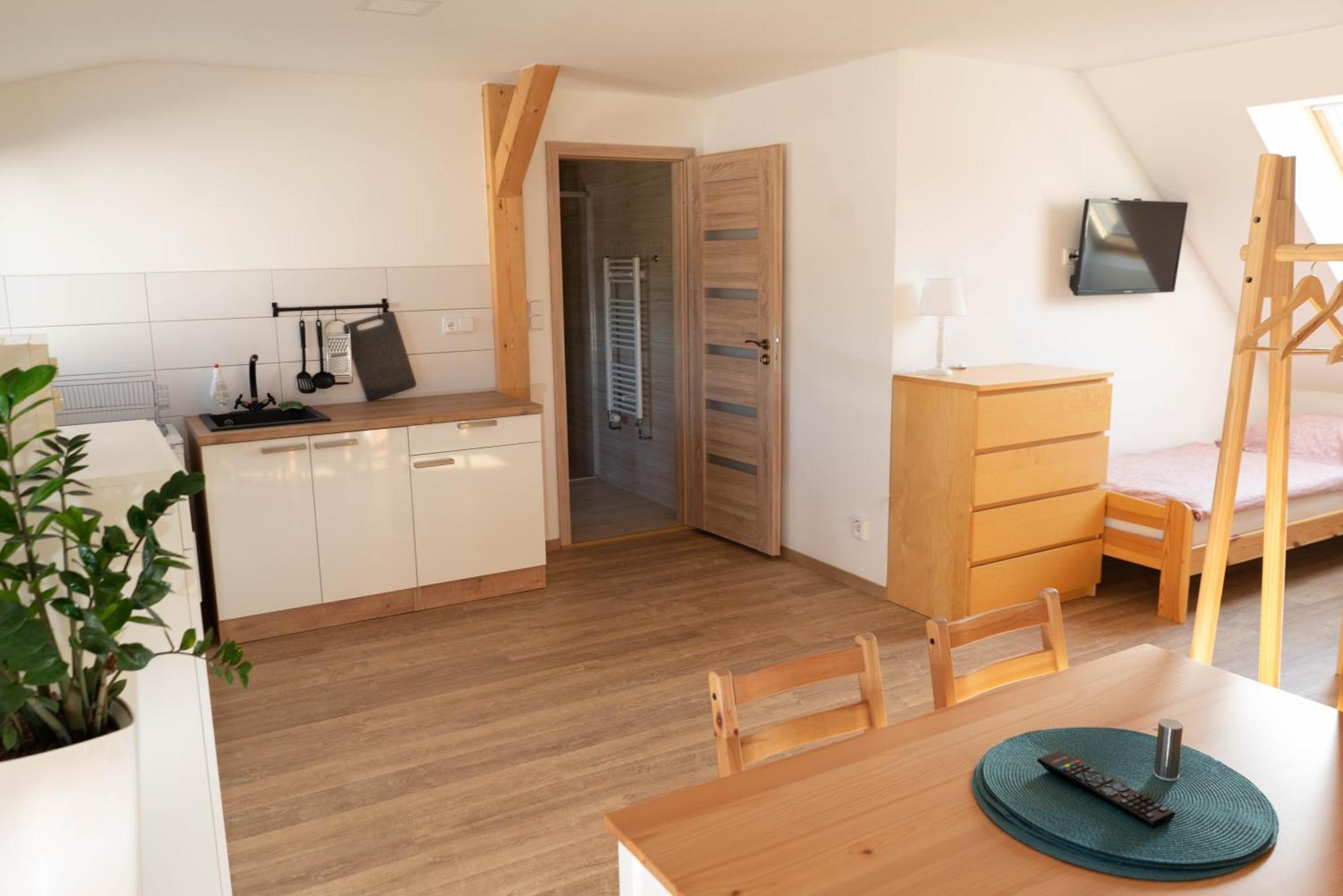 Apartment Mocovice